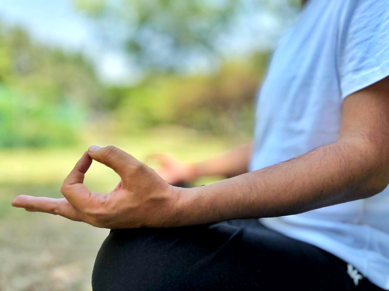 IMG_20240526_124717_108