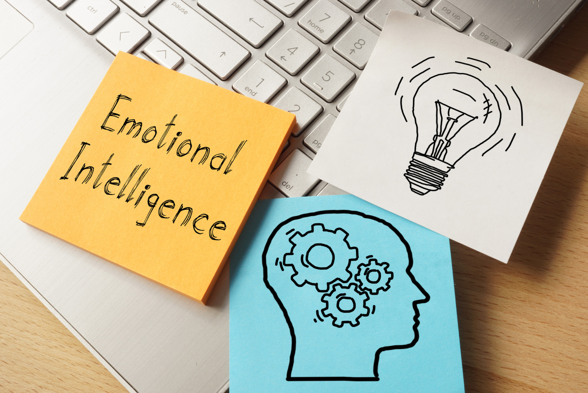 emotional intelligence